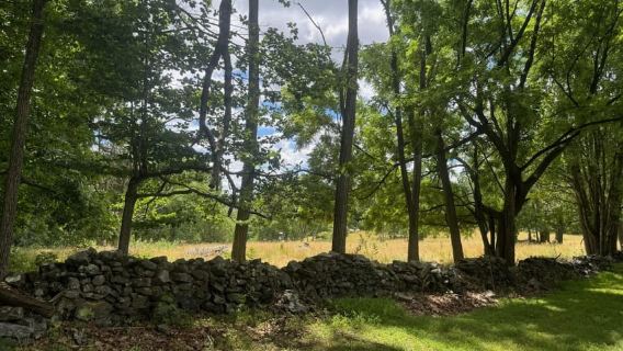 Gettysburg: Recorrido por una granja embrujada con paseo en carro de heno