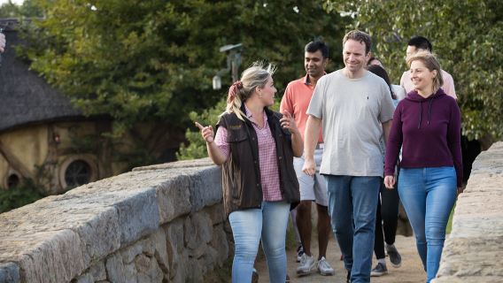 Однодневный тур по местам съемок фильма "Хоббит" в Новой Зеландии + деревня маори Типуатеа По