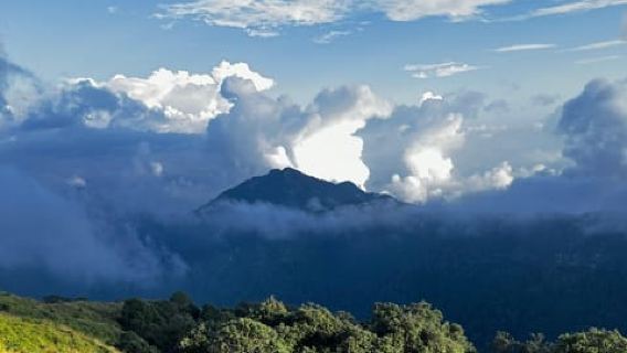 Mussoorie: Benog Sanctuary Day hike
