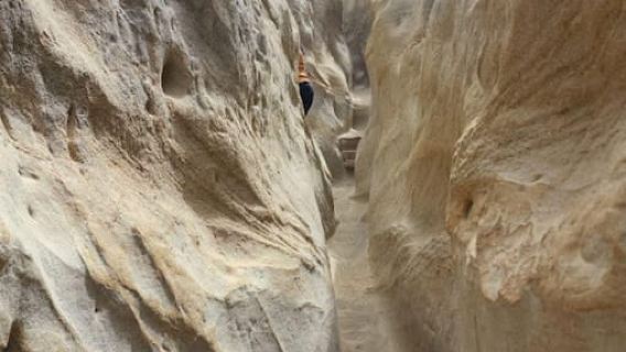 Solana Beach: Guided Hiking/Bike Tour to Annie's Canyon