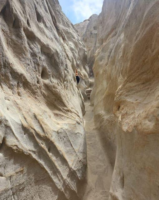 Solana Beach : visite guidée à pied ou à vélo jusqu'au canyon d'Annie