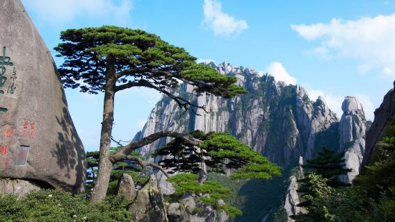 Huangshan Scenic Area one-day tour | Skip the line to transfer directly to the cableway entrance· guide to climb·Downtown pick-up