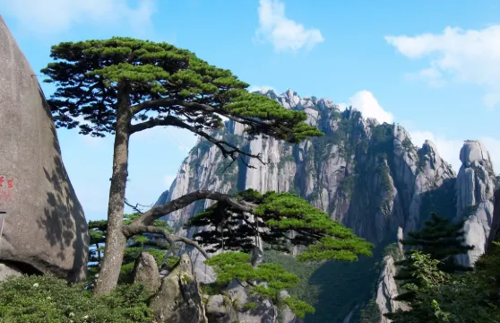 黃山風景區一日遊|免排隊換乘直達索道口·導遊陪爬·市區接送