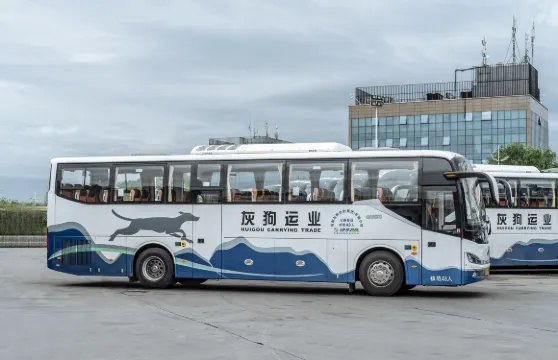 成都出發-畢棚溝景區（豪華空調大巴車）單程-接駁車