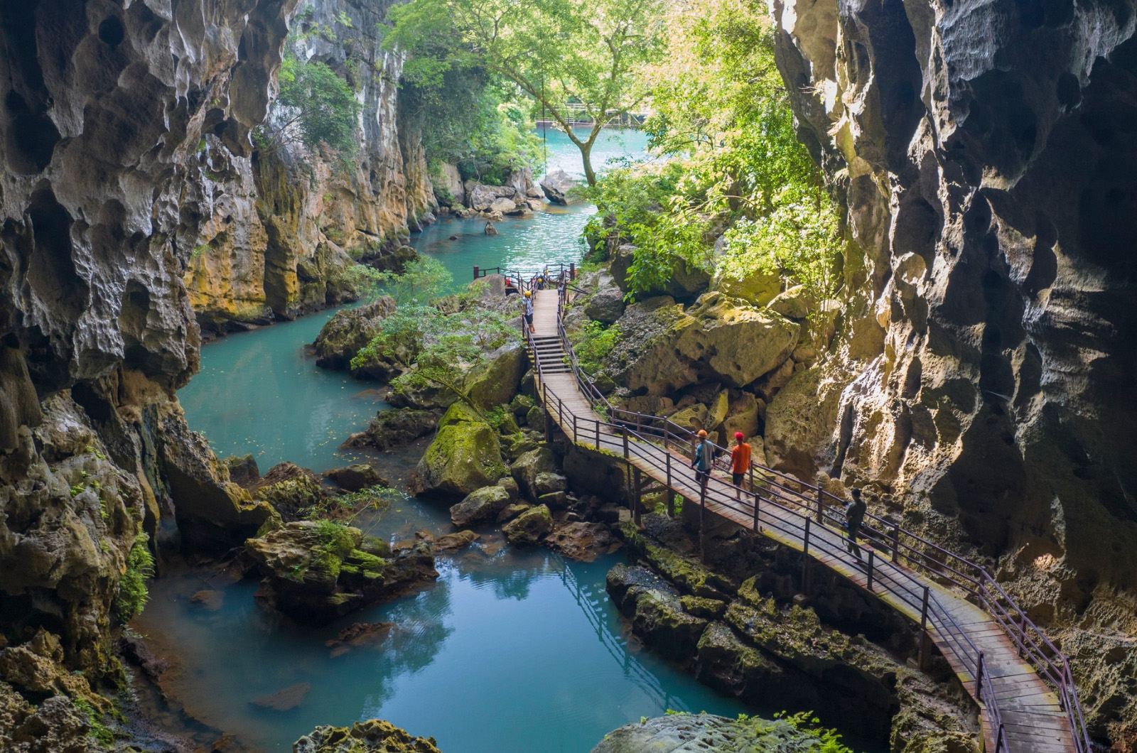 Visita guiada a la cueva Paradise y la cueva Dark desde Dong Hoi/Phong Nha