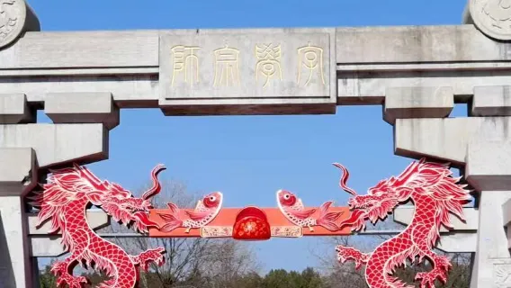 Passeio de um dia em Luohe, Henan: Parque Shenzhou Bird + Cidade Antiga Luowan + Jardim Cultural Xushen | Serviço bilíngue chinês-inglês