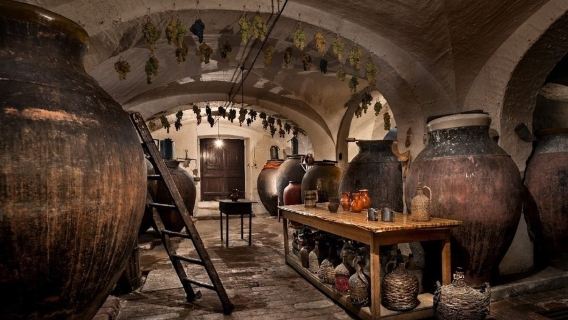 Vidigueira Full-Day Wine Tour