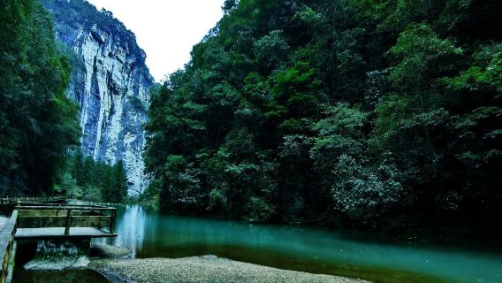 Chongqing Nanchuan 1-day Tour: Jinfo Mountain + Jinfu Temple + Tianxing Town (English-speaking guide available)