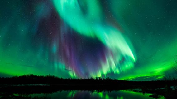 【14人小團】美國阿拉斯加費爾班克斯專業「追獵」體驗北極光