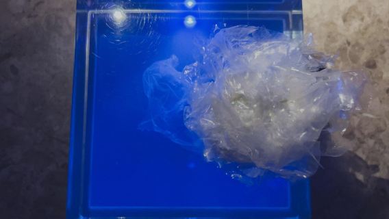 Réservation de table au restaurant Alchemist, un lieu très prisé à Copenhague, Danemark