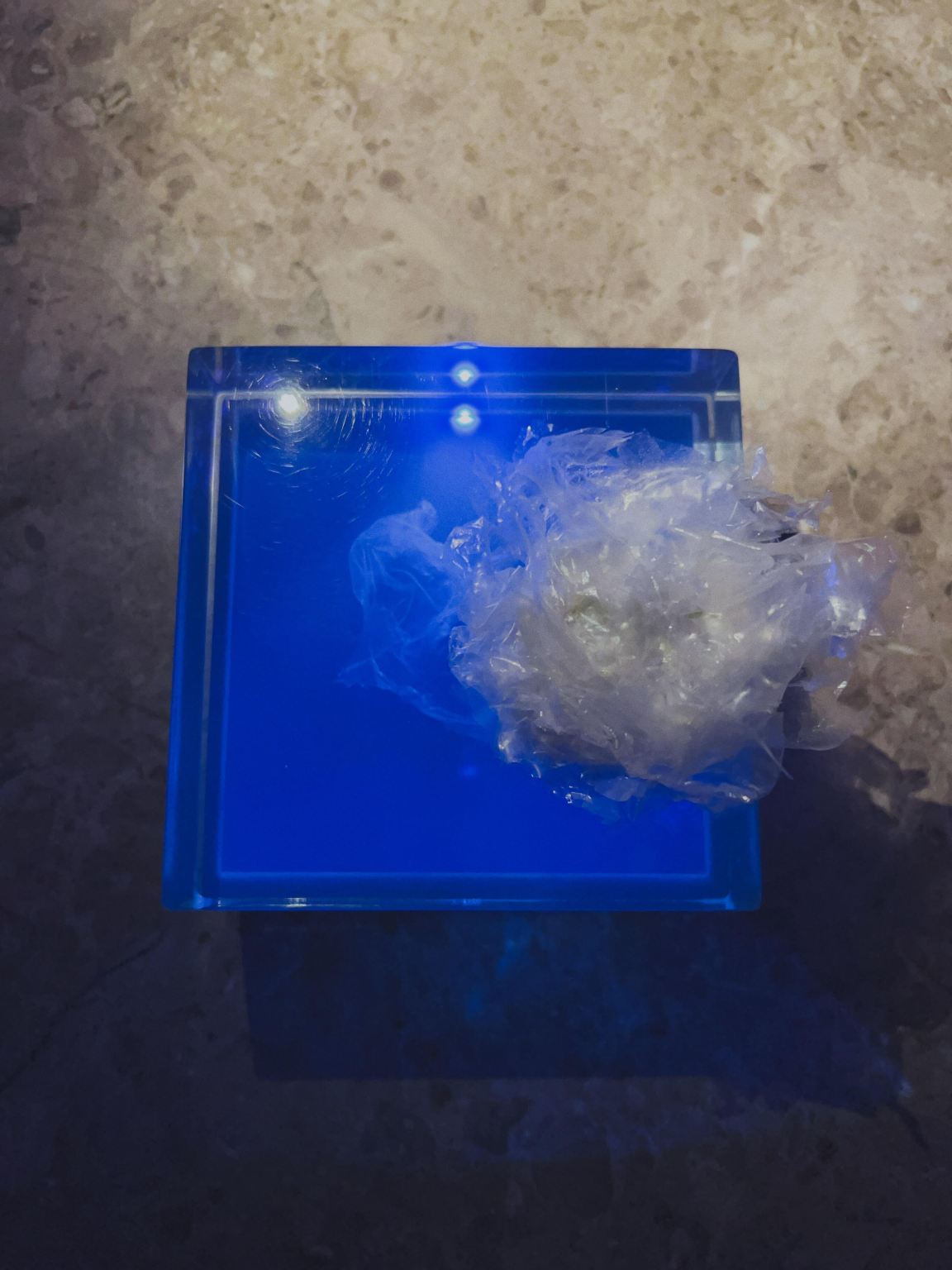 servicio de reservas en el restaurante Alchemist, famoso en Copenhague, Dinamarca