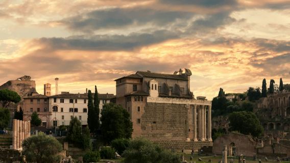 Visita guiada al Foro Romano + Entrada al Monte Palatino y Domus Romana
