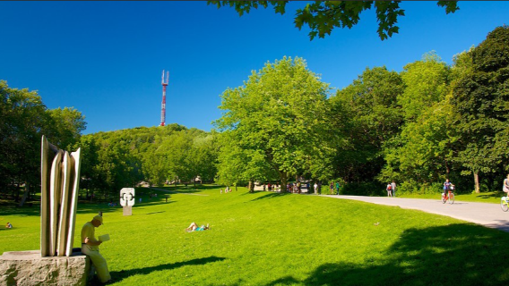 Notre-Dame Basilica of Montreal + Underground City + Mount Royal Park + Habitat 67 day tour