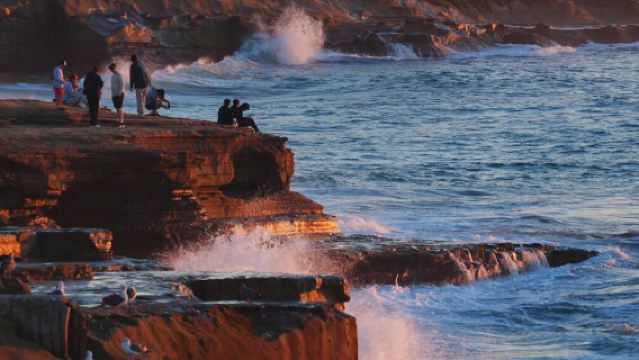 美國洛杉磯一座被陽光寵愛的城市：聖地亞哥深度遊【包車一日遊】