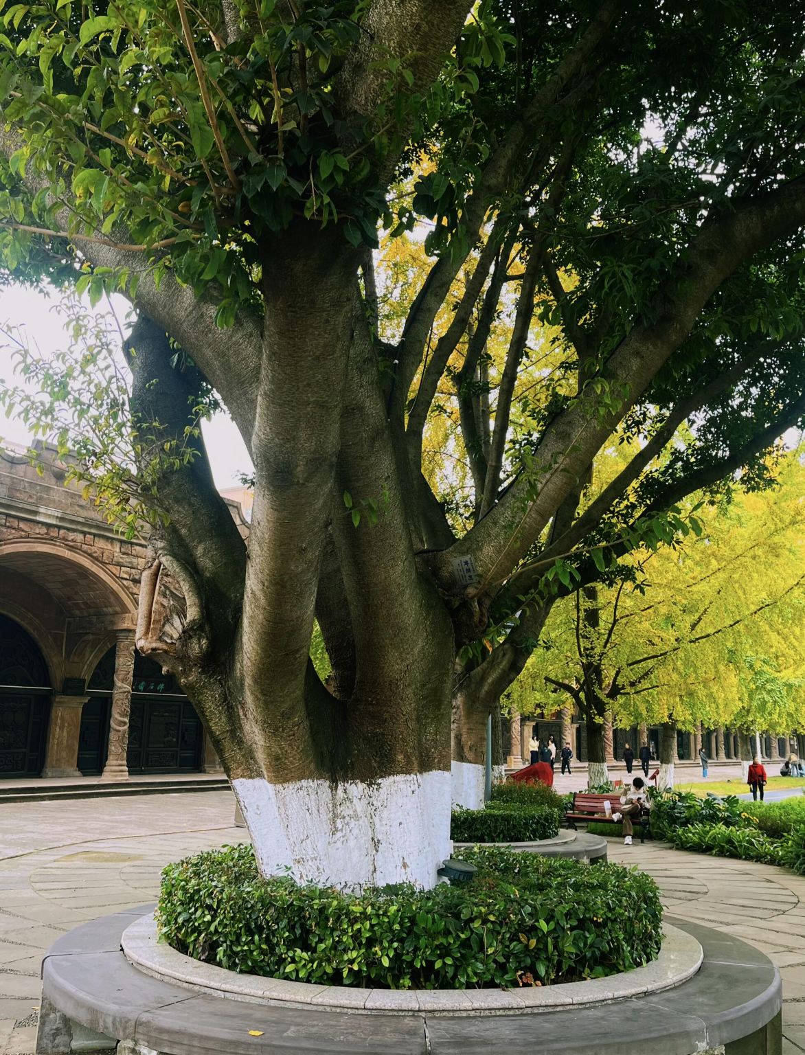 Excursión de un día al Museo Sanxingdui, Templo Confuciano, Parque de Esculturas en Piedra y Lago Wende en Deyang, Sichuan con servicio en inglés