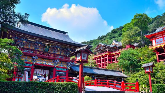 ¡Tour gastronómico! Ostras de Takezaki y mariscos de Ariake, torii flotante y santuario Yutoku Inari.