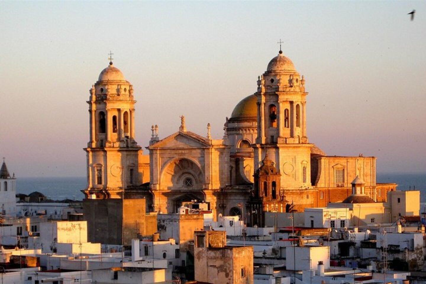 Cadiz + Jerez Day Tour in Spain|Includes visits and wine tasting at traditional wineries