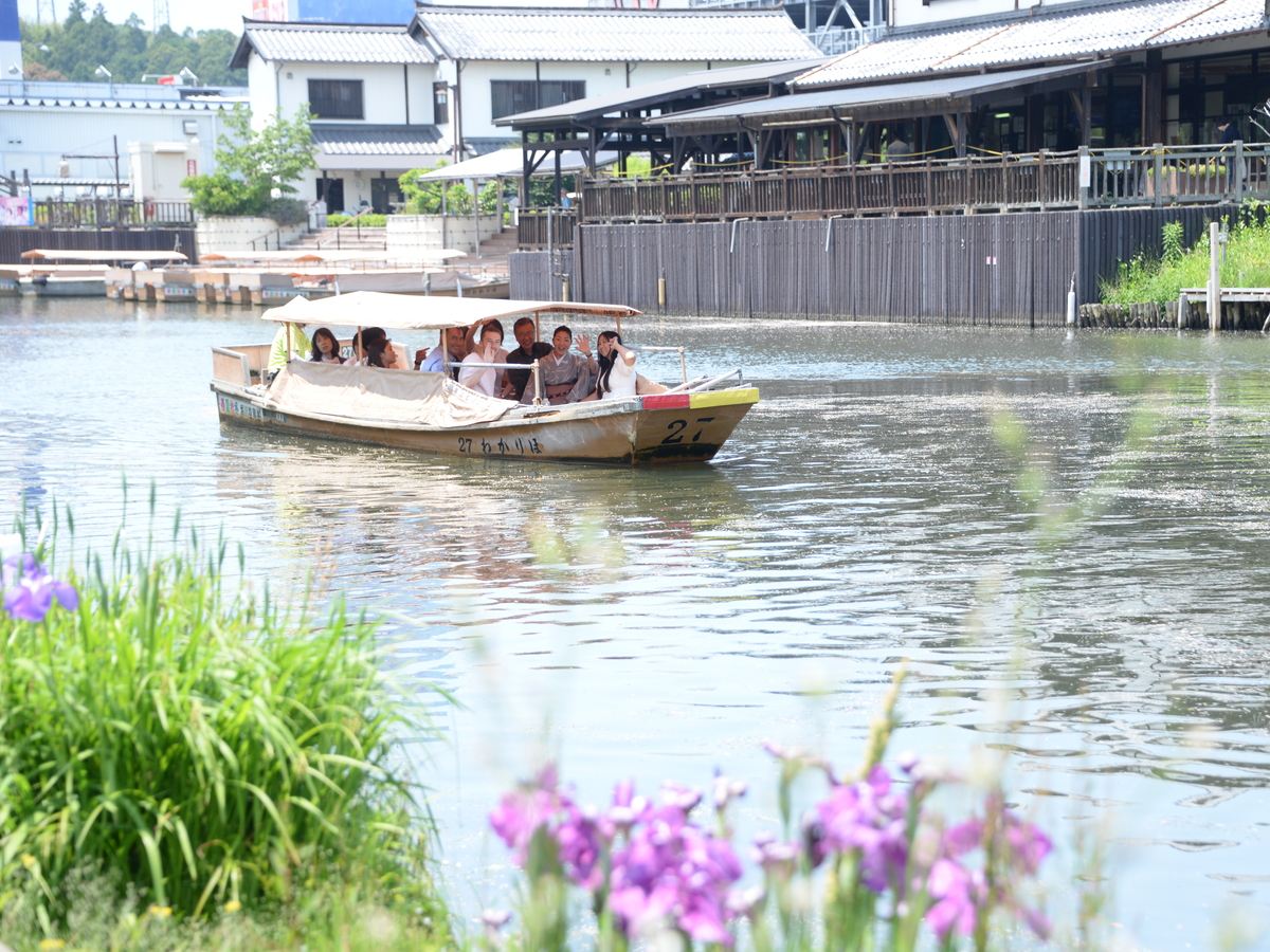 [Osewa-san] Choose one workshop experience: Japanese confectionery making, Izumo soba noodle making, or Matsue old town walking tour