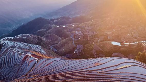 Scenic Longji Rice Terraces Join-in Day Trip: Flexible Karst Mountain Adventure