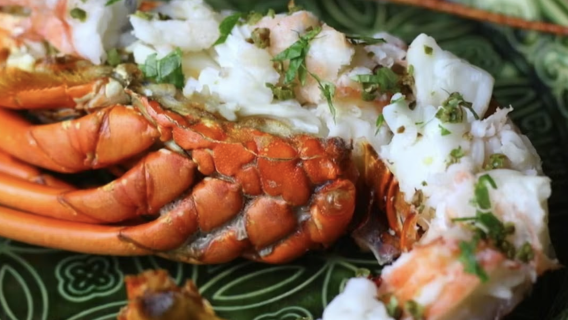 Seasonal Kaiseki Package at [Zhe'an] (Choice of Snow Crab, Ise Lobster, or Matsuba Crab) - Select One Dining Voucher