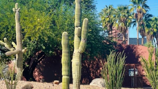 美國鳳凰城-來回圖森-歷史文化線-包車精選