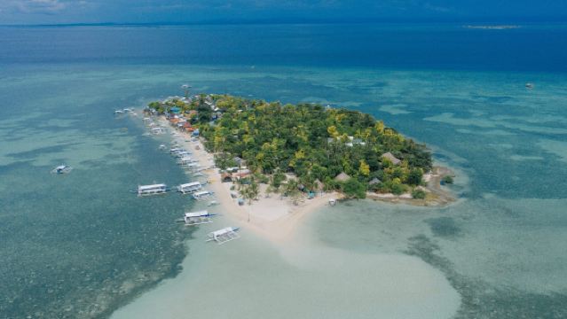 Cebu, Philippines: Caohagan Island Crab Boat Snorkeling + Fish Sanctuary Feeding + BBQ