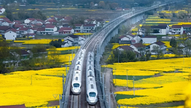 Laluan Khas Bunga Rape Hanzhong Nanzheng | Kampung Chen + Pemandangan Bunga di Bukit Yue