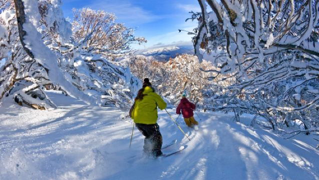 บริการรถบัสรับส่งจากเมลเบิร์น ประเทศออสเตรเลีย ไปยังจัตุรัสหมู่บ้านภูเขาบูลเลอร์ (รวมตั๋วเข้าสถานที่รีสอร์ทภูเขาบูลเลอร์)