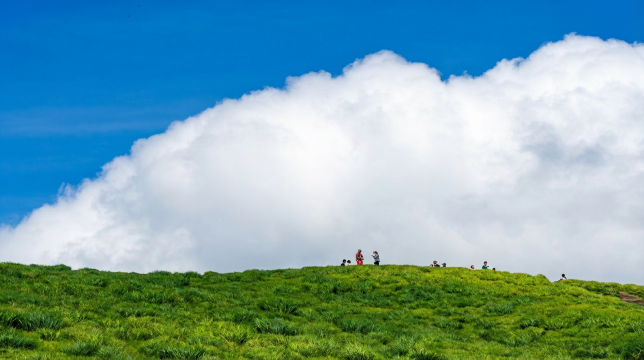 Mount Aso Day Tour