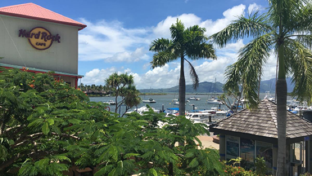 피지 데나라우아일랜드 포트 데나라우에서 체험하는 다이빙과 스노클링 1시간 투어 [피지 물고기와 함께하는 체험(점심, 음료 포함)]