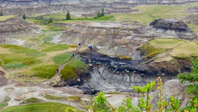 加拿大卡爾加里馬蹄峽谷+斯蒂芬大道+卡爾加里塔【中文司機】
