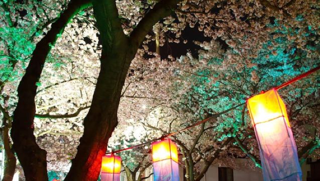 Jeju : Visite guidée UNESCO de l'Est (Seongsan, spectacle des Haenyeo)