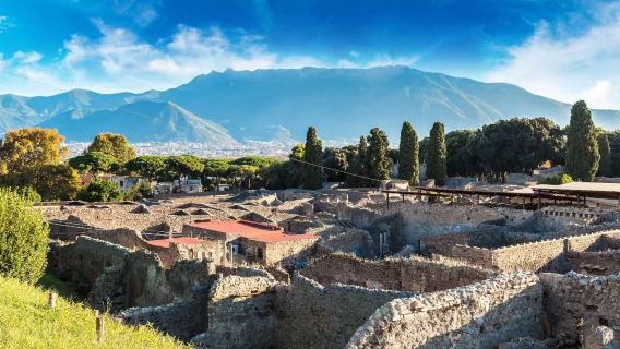 Pompeii Antik Kenti Tarih Turu (Profesyonel Çince Rehberlik + Rahat Grup Turu + Uyuyan Antik Kentle Buluşma)
