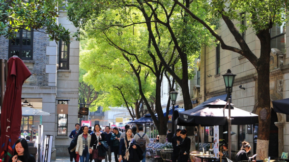 Door-to-door pick-up and drop-off service | Shanghai Xintiandi, Jade Buddha Temple, and M50 Creative Park day trip