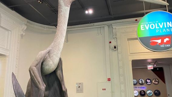 Amerika Syarikat Chicago + Muzium Sains dan Industri + Field Museum Lawatan Sehari Sewaan Peribadi Ringan Tidak Termasuk Tiket
