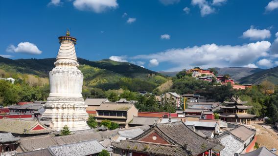 One-day private chartered car tour to Wutai Mountain in Shanxi | Easy travel | Preferred for group tours