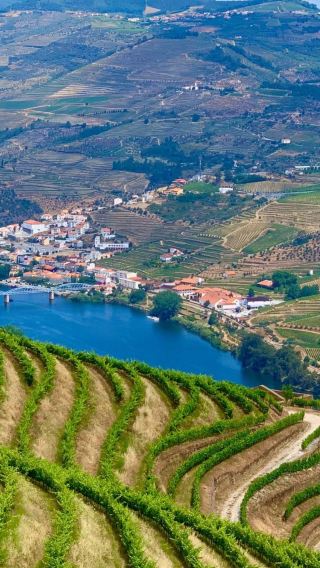 Portugal Porto departure: Douro River Valley premium small group 1-day tour | Lunch and winery tasting included