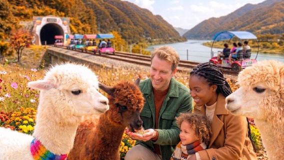 Wycieczka jednodniowa do Alpaca World i na kolejkę rowerową Gangchon Rail Bike z Seulu