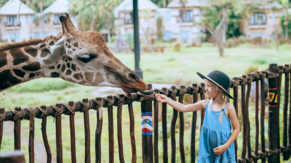 Experiencia en el Parque Safari de Bali y Marine Safari Bali