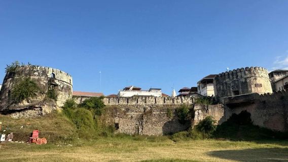 Zanzibar: Stone Town, Prison Island, and Jozani Forest Tour