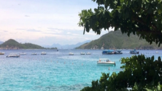 Hon Mun 1-day tour: speedboating to distant Yen Island and Coral Island! Unlock the glass sea of Southeast Asia!