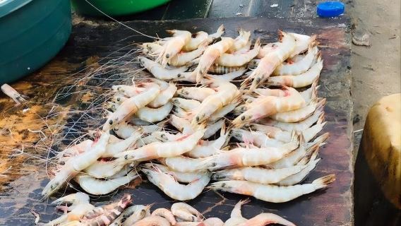 Maputo: Taste of Africa Food Tour with Beer