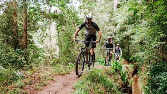 E-Bike Guided Tour - Mountain biking experience