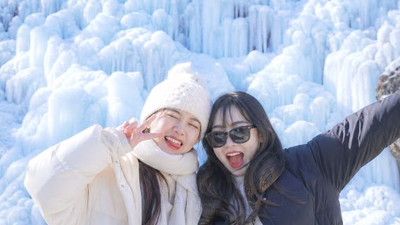 Tour di un giorno invernale da Seoul: raccolta di fragole + Valle di Bongseonsa + Nami Island