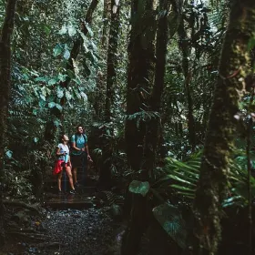 Rainforest Land of Senses Tour