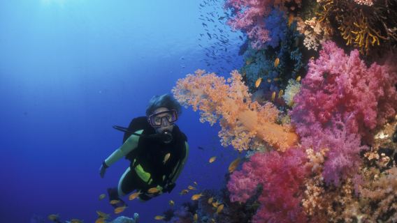 excursión de un día al Agujero Azul de Dahab y Abu Galoum (snorkel y recorrido en jeep)