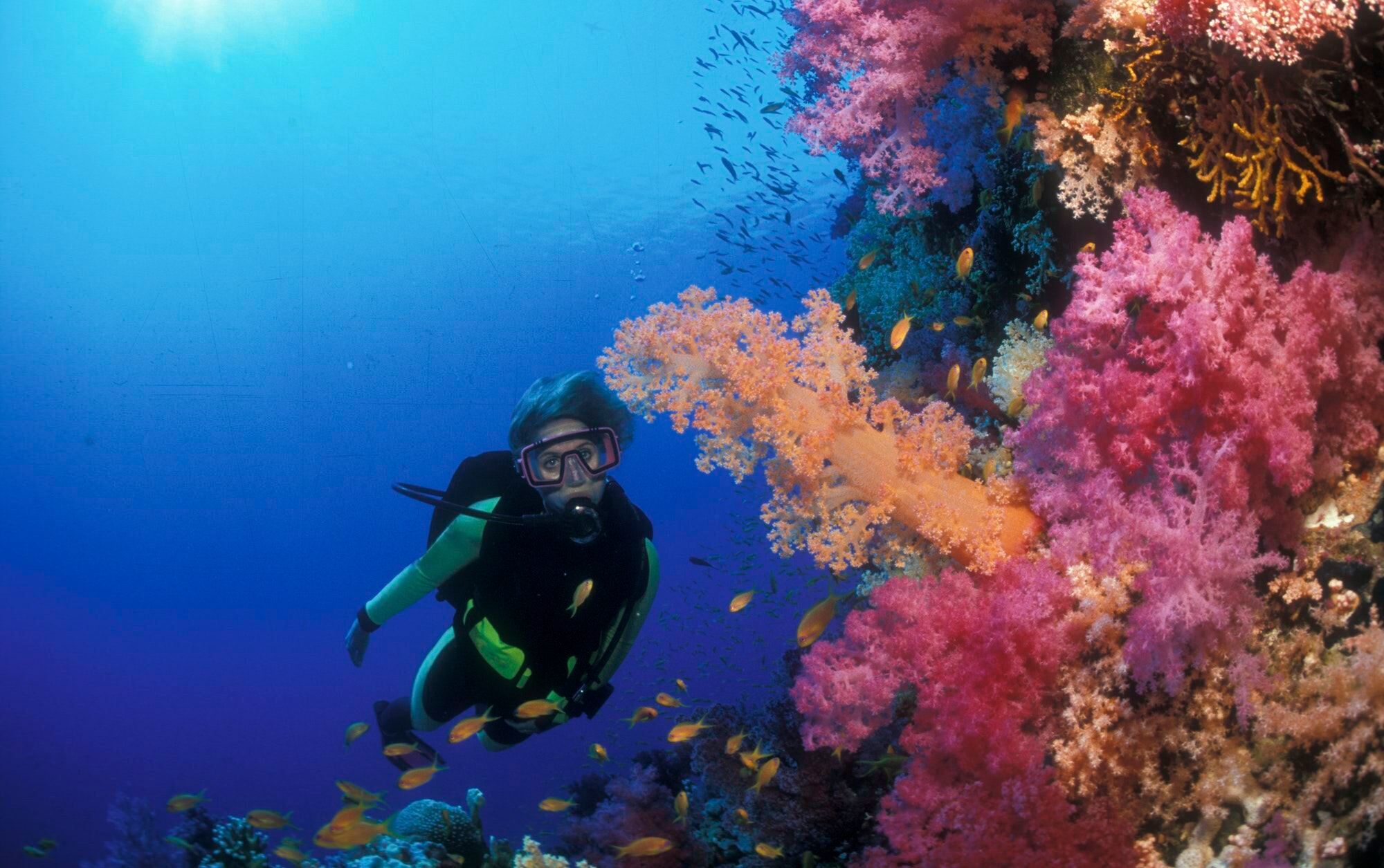 Egypt Blue Hole Dahab + Abu Galoum 1-day tour [Snorkeling + Desert Riding Adventure]