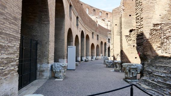 Tour Guiado del Coliseo Grupo Pequeño (Max. 8 Personas)