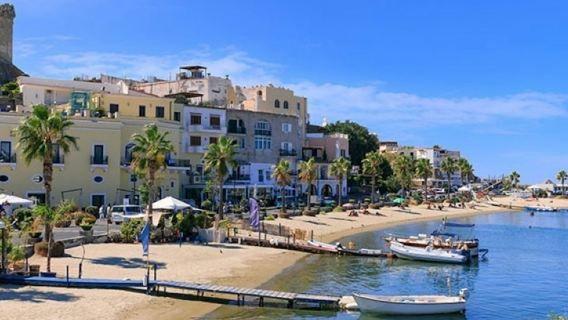 Forio: Day Trip + Hydrofoil Transfer from Naples with Optional Lunch