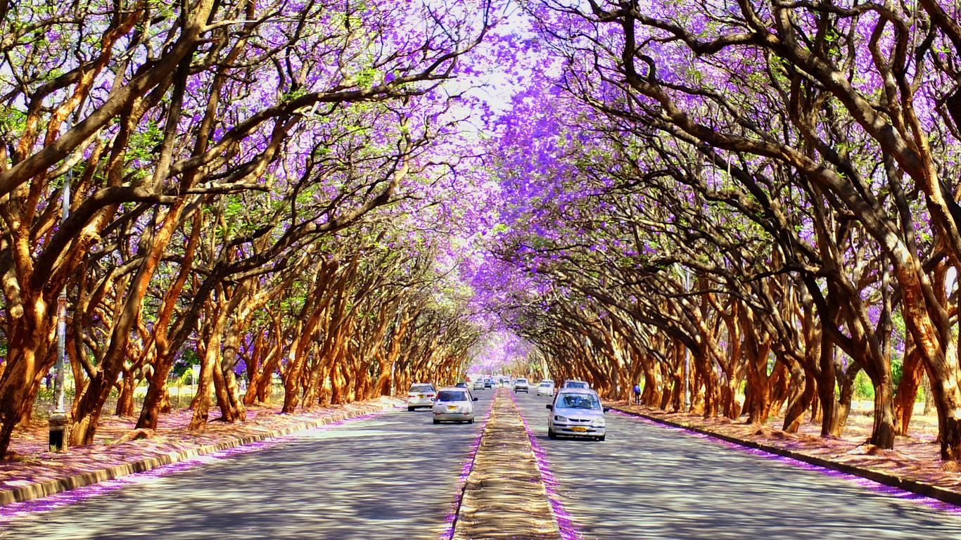 Tour di un giorno nel centro di Harare, Zimbabwe: scopri il fascino della città e le meraviglie naturali